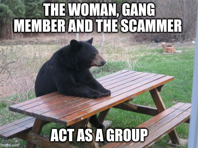 as a group | THE WOMAN, GANG MEMBER AND THE SCAMMER; ACT AS A GROUP | image tagged in patient bear | made w/ Imgflip meme maker