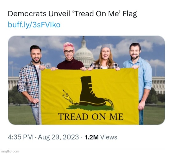 Dems release their own Gadsden flag | image tagged in libtards,finished,vote,republican party | made w/ Imgflip meme maker