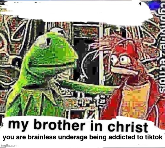 My brother in Christ | you are brainless underage being addicted to tiktok | image tagged in my brother in christ | made w/ Imgflip meme maker