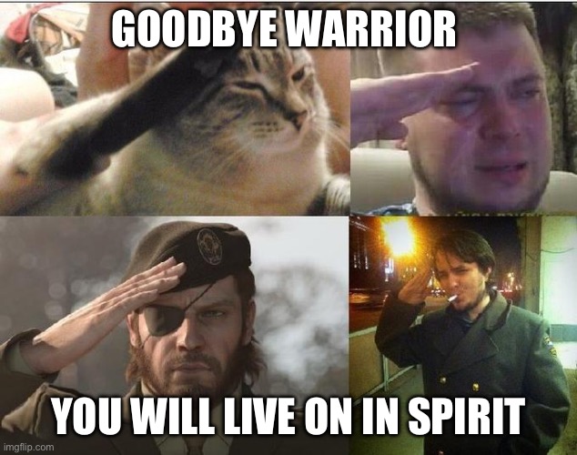 Ozon's Salute | GOODBYE WARRIOR YOU WILL LIVE ON IN SPIRIT | image tagged in ozon's salute | made w/ Imgflip meme maker