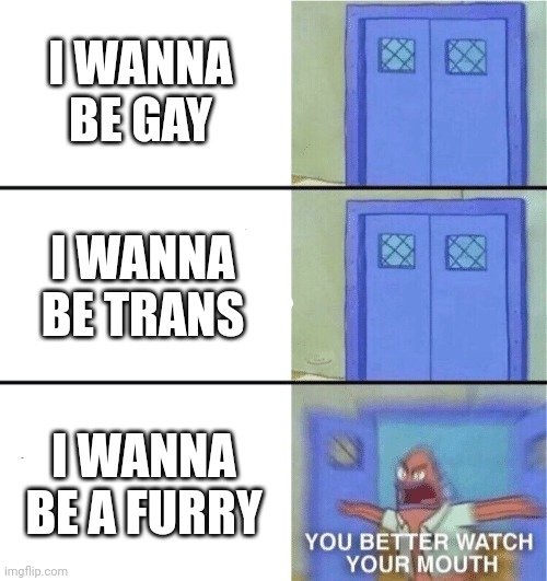 You better watch your mouth | I WANNA BE GAY; I WANNA BE TRANS; I WANNA BE A FURRY | image tagged in you better watch your mouth | made w/ Imgflip meme maker