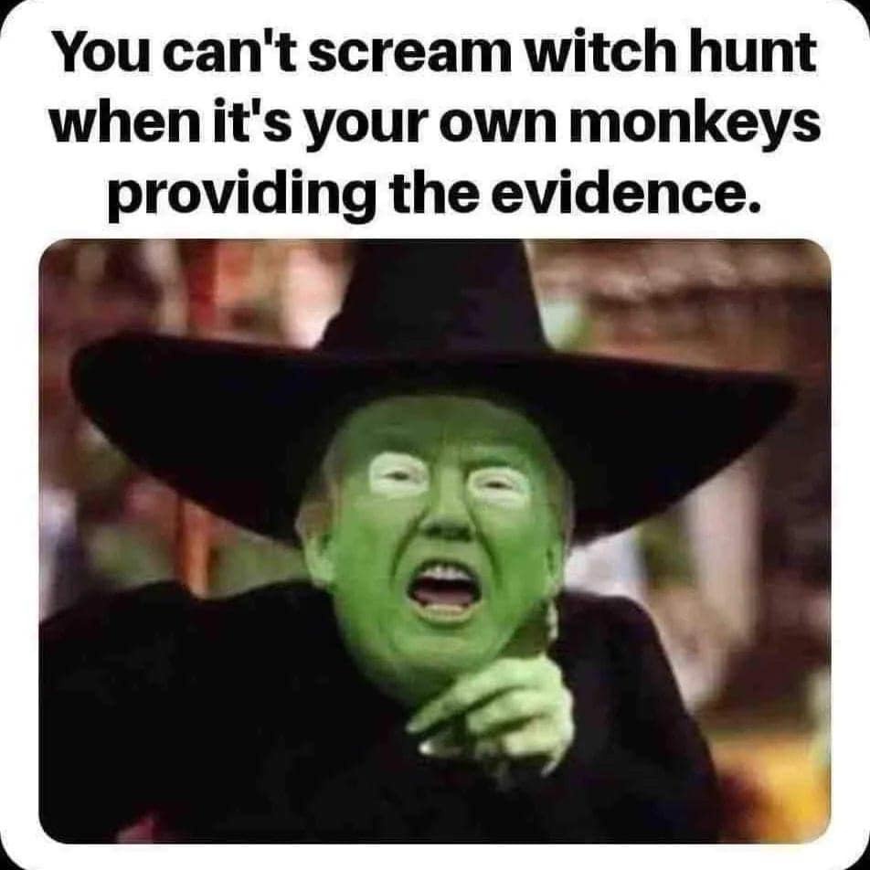 High Quality Witch hunt Blank Meme Template