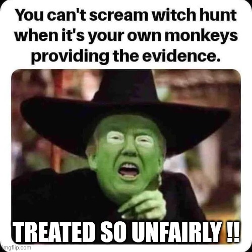 liar | TREATED SO UNFAIRLY !! | image tagged in witch hunt,trump | made w/ Imgflip meme maker