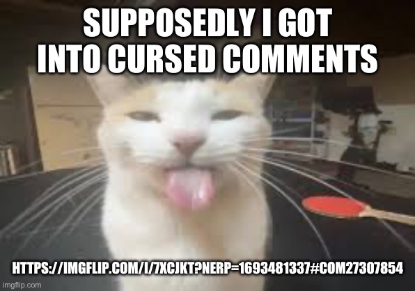 Cat | SUPPOSEDLY I GOT INTO CURSED COMMENTS; HTTPS://IMGFLIP.COM/I/7XCJKT?NERP=1693481337#COM27307854 | image tagged in cat | made w/ Imgflip meme maker