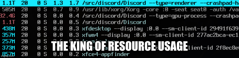 1.1TB upper memory limit?!? seriously!? | THE KING OF RESOURCE USAGE | image tagged in discord,screenshot | made w/ Imgflip meme maker