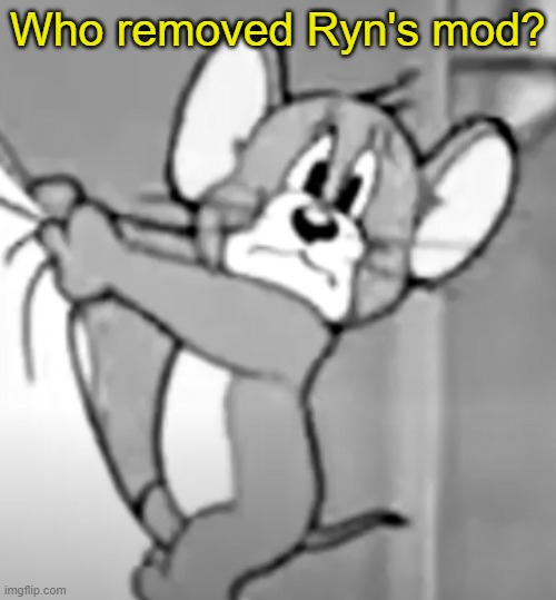 awww the skrunkly | Who removed Ryn's mod? | image tagged in awww the skrunkly | made w/ Imgflip meme maker