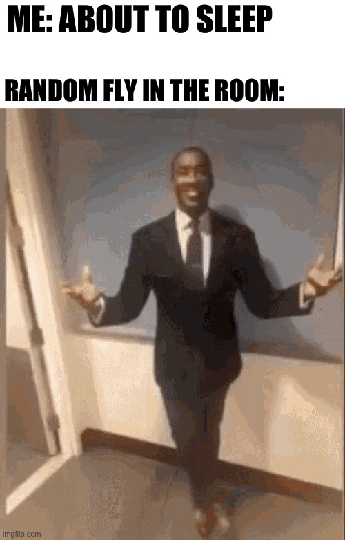 Biggest pet peeve ever | ME: ABOUT TO SLEEP; RANDOM FLY IN THE ROOM: | image tagged in smiling black guy in suit | made w/ Imgflip meme maker