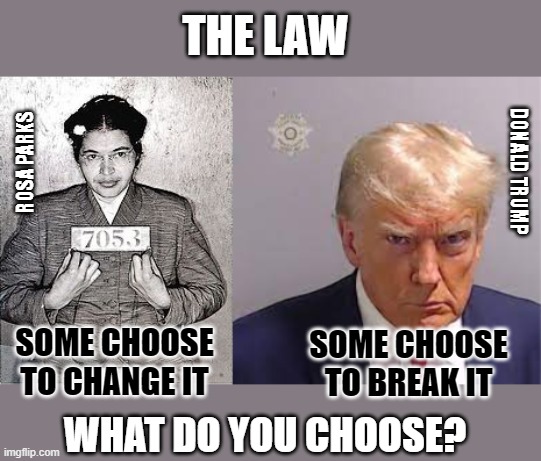 Some choose to change the law, others choose to break the law. What do you choose? | THE LAW; ROSA PARKS; DONALD TRUMP; SOME CHOOSE TO CHANGE IT; SOME CHOOSE TO BREAK IT; WHAT DO YOU CHOOSE? | image tagged in rosa parks,donald trump,mugshot,civil rights,blm,racism | made w/ Imgflip meme maker