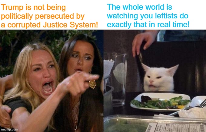 Own it leftists.  Cease pretending otherwise.  The pretense is not working. | Trump is not being politically persecuted by a corrupted Justice System! The whole world is watching you leftists do exactly that in real time! | image tagged in woman yelling at cat | made w/ Imgflip meme maker