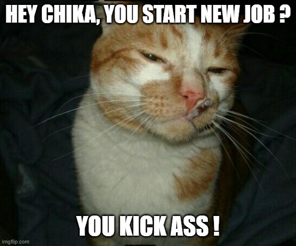 HEY CHIKA, YOU START NEW JOB ? YOU KICK ASS ! | made w/ Imgflip meme maker