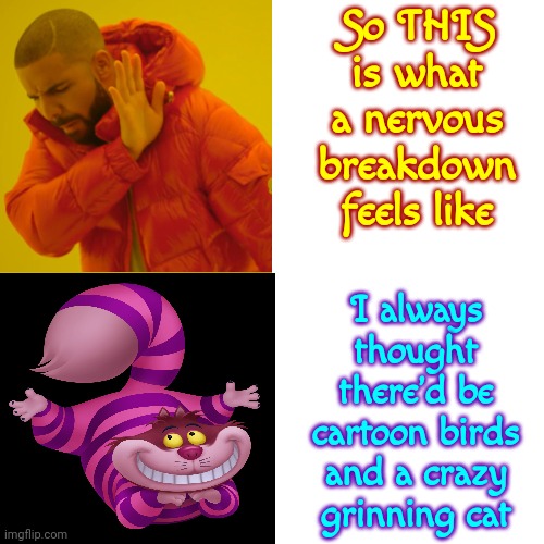 Butter Done Slipped Off That Biscuit | So THIS is what a nervous breakdown feels like; I always thought there'd be cartoon birds and a crazy grinning cat | image tagged in memes,drake hotline bling,crazy,nervous breakdown,cheshire cat,crazy people | made w/ Imgflip meme maker