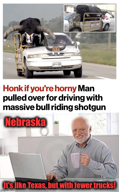 Nebraska; It's like Texas, but with fewer trucks! | image tagged in hide the pain harold smile,nebraska,texas,bull,car,trucks | made w/ Imgflip meme maker
