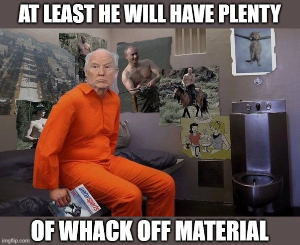 image tagged in prison trump's whack off material,political meme | made w/ Imgflip meme maker