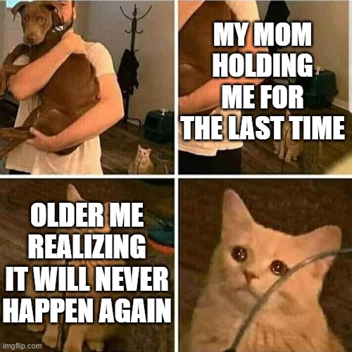 Right in the feels... | MY MOM HOLDING ME FOR THE LAST TIME; OLDER ME REALIZING IT WILL NEVER HAPPEN AGAIN | image tagged in sad cat holding dog,memes,sad,mom | made w/ Imgflip meme maker