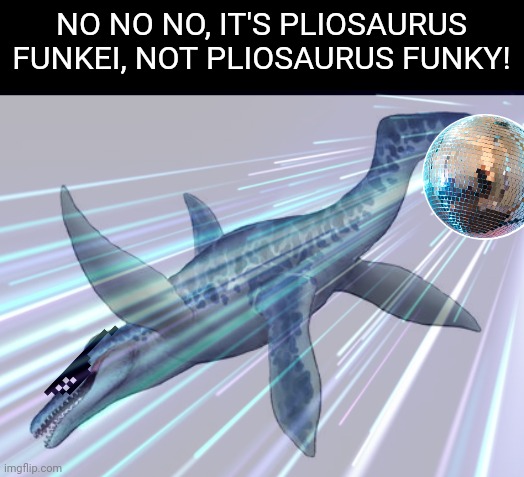 Funky Pliosaurus | NO NO NO, IT'S PLIOSAURUS FUNKEI, NOT PLIOSAURUS FUNKY! | image tagged in funky,pliosaurus,marine reptiles | made w/ Imgflip meme maker