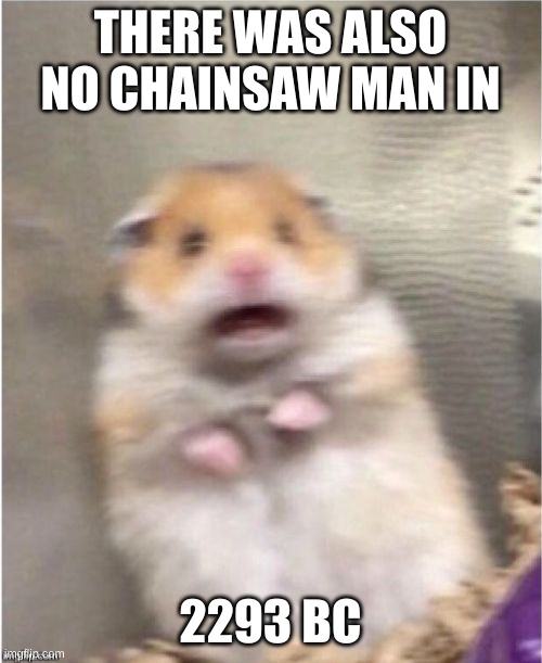 Scared Hamster | THERE WAS ALSO NO CHAINSAW MAN IN 2293 BC | image tagged in scared hamster | made w/ Imgflip meme maker