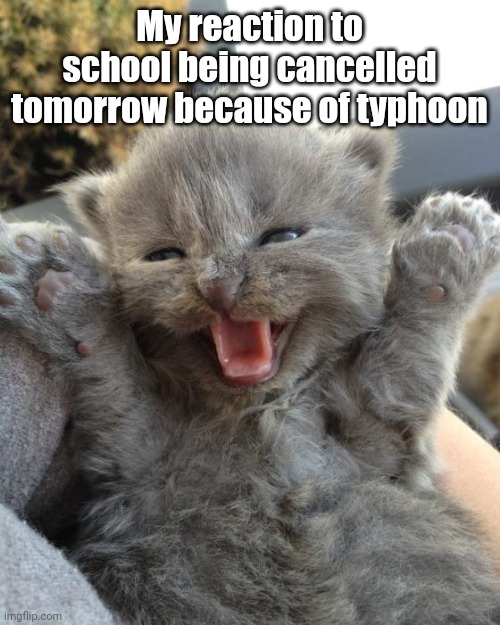This happened in my area just a few minutes ago | My reaction to school being cancelled tomorrow because of typhoon | image tagged in yay kitty,funny,school,cancelled,weather | made w/ Imgflip meme maker