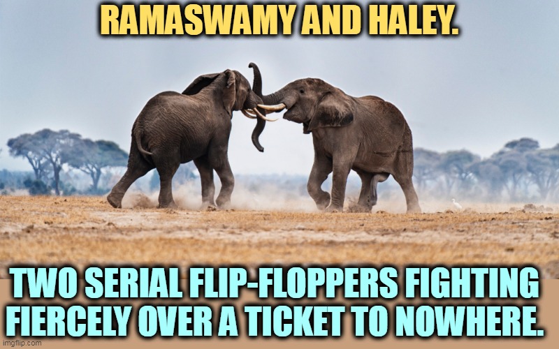 RAMASWAMY AND HALEY. TWO SERIAL FLIP-FLOPPERS FIGHTING 
FIERCELY OVER A TICKET TO NOWHERE. | image tagged in vivek ramaswamy,nikki haley,fighting,nothing | made w/ Imgflip meme maker