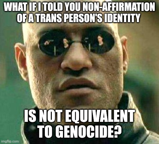 What if i told you | WHAT IF I TOLD YOU NON-AFFIRMATION OF A TRANS PERSON'S IDENTITY; IS NOT EQUIVALENT TO GENOCIDE? | image tagged in what if i told you | made w/ Imgflip meme maker