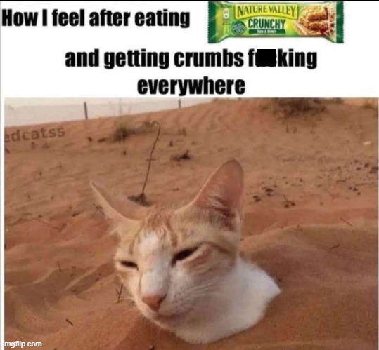 50% of the bar is lost during the process of crunching it | image tagged in cat,this always happens to me | made w/ Imgflip meme maker