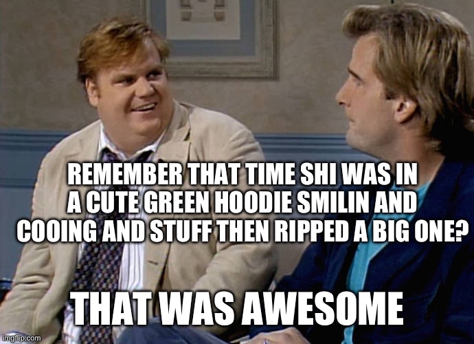Awesome | REMEMBER THAT TIME SHI WAS IN A CUTE GREEN HOODIE SMILIN AND COOING AND STUFF THEN RIPPED A BIG ONE? THAT WAS AWESOME | image tagged in remember that time | made w/ Imgflip meme maker