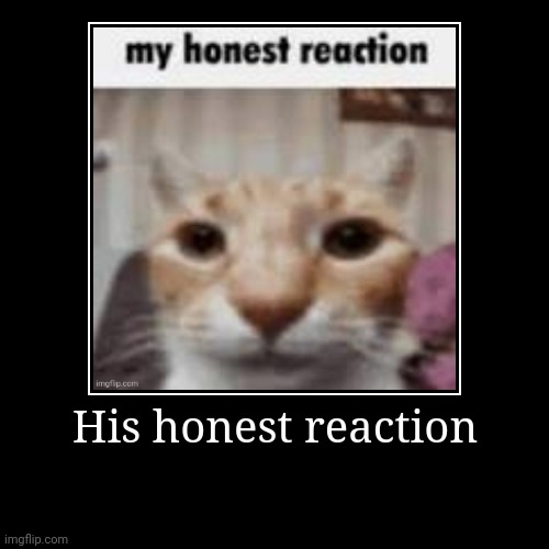 His honest reaction | | image tagged in funny,demotivationals | made w/ Imgflip demotivational maker