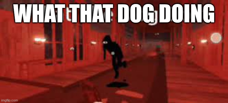 What that dog doing | WHAT THAT DOG DOING | image tagged in fun | made w/ Imgflip meme maker