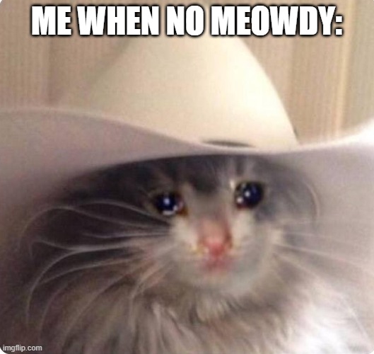 The Texan Cat needs his meowdy's :'< I would appreciate one pardner! | ME WHEN NO MEOWDY: | image tagged in sad cowboy cat,texas,cats,funny,memes,dank memes | made w/ Imgflip meme maker