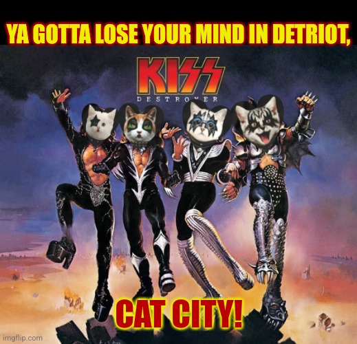 YA GOTTA LOSE YOUR MIND IN DETRIOT, CAT CITY! | made w/ Imgflip meme maker