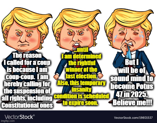Trump is of Sound Mind | ...until  I am determined  the rightful winner of the last election. Also, this temporary insanity condition is scheduled to expire soon. But I will be of sound mind to become Potus 47 in 2025.  Believe me!!! The reason I called for a coup is because I am coup-coup.  I am hereby calling for the suspension of all rights, including Constitutional ones | image tagged in nevertrump,maga,potus45,trump,donald trump memes,donald trump approves | made w/ Imgflip meme maker