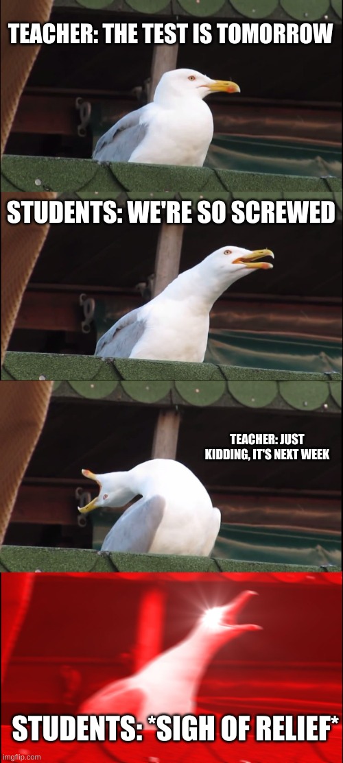 Inhaling Seagull | TEACHER: THE TEST IS TOMORROW; STUDENTS: WE'RE SO SCREWED; TEACHER: JUST KIDDING, IT'S NEXT WEEK; STUDENTS: *SIGH OF RELIEF* | image tagged in memes,inhaling seagull | made w/ Imgflip meme maker