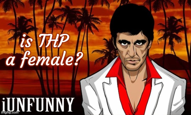 iUnFunny's Scarface template | is THP a female? | image tagged in iunfunny's scarface template | made w/ Imgflip meme maker