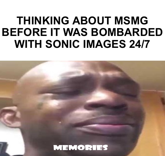 Memories | THINKING ABOUT MSMG BEFORE IT WAS BOMBARDED WITH SONIC IMAGES 24/7 | image tagged in memories | made w/ Imgflip meme maker