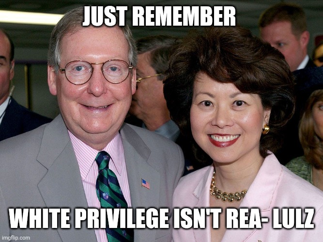 Ded | JUST REMEMBER; WHITE PRIVILEGE ISN'T REA- LULZ | image tagged in white privilege,white,victim,politics | made w/ Imgflip meme maker