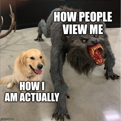 these quite kid memes are getting outta hand ngl | HOW PEOPLE VIEW ME; HOW I AM ACTUALLY | image tagged in dog vs werewolf | made w/ Imgflip meme maker