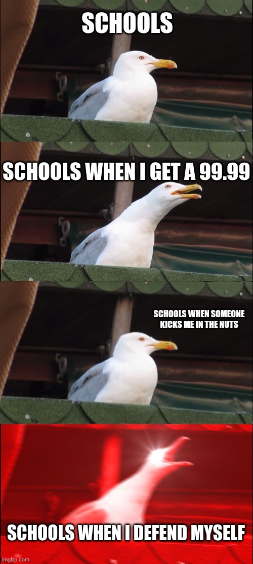 bruh why | SCHOOLS; SCHOOLS WHEN I GET A 99.99; SCHOOLS WHEN SOMEONE KICKS ME IN THE NUTS; SCHOOLS WHEN I DEFEND MYSELF | image tagged in memes,inhaling seagull | made w/ Imgflip meme maker