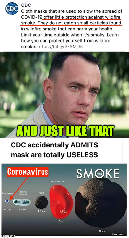 OOPS...  CDC inadvertently admits masks are useless against Covid... | AND JUST LIKE THAT | image tagged in memes,and just like that,cdc,covid,mask,truth | made w/ Imgflip meme maker