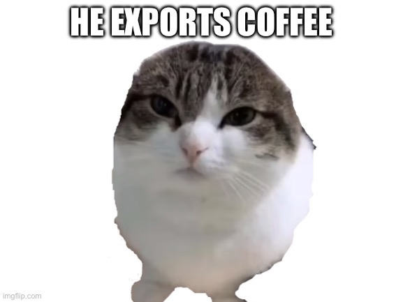 Blank White Template | HE EXPORTS COFFEE | image tagged in blank white template | made w/ Imgflip meme maker
