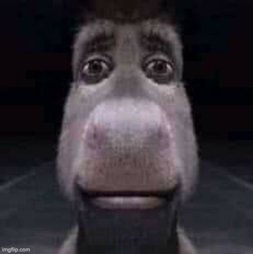 Donkey staring | image tagged in donkey staring | made w/ Imgflip meme maker