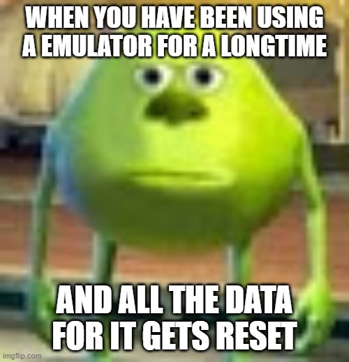 Depression | WHEN YOU HAVE BEEN USING A EMULATOR FOR A LONGTIME; AND ALL THE DATA FOR IT GETS RESET | image tagged in sully wazowski | made w/ Imgflip meme maker