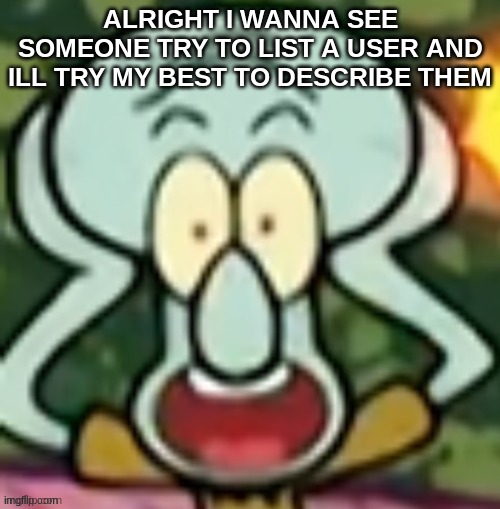 Flabbergasted Squidward | ALRIGHT I WANNA SEE SOMEONE TRY TO LIST A USER AND ILL TRY MY BEST TO DESCRIBE THEM | image tagged in flabbergasted squidward | made w/ Imgflip meme maker