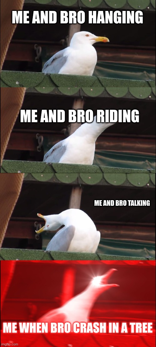 Inhaling Seagull | ME AND BRO HANGING; ME AND BRO RIDING; ME AND BRO TALKING; ME WHEN BRO CRASH IN A TREE | image tagged in memes,inhaling seagull | made w/ Imgflip meme maker