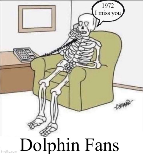 Miami Dolphins Fan | image tagged in long long time ago,miami dolphins | made w/ Imgflip meme maker