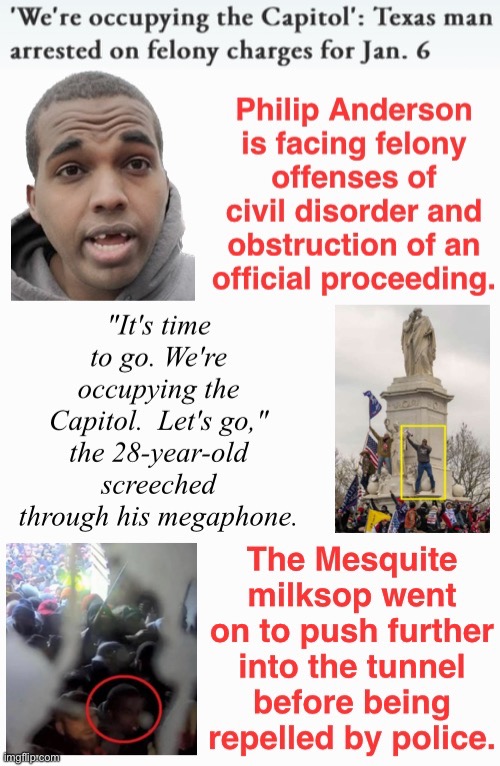 Mesquite MegaMouth | image tagged in domestic terrorists,treason,traitor,safety in numbers,loser | made w/ Imgflip meme maker