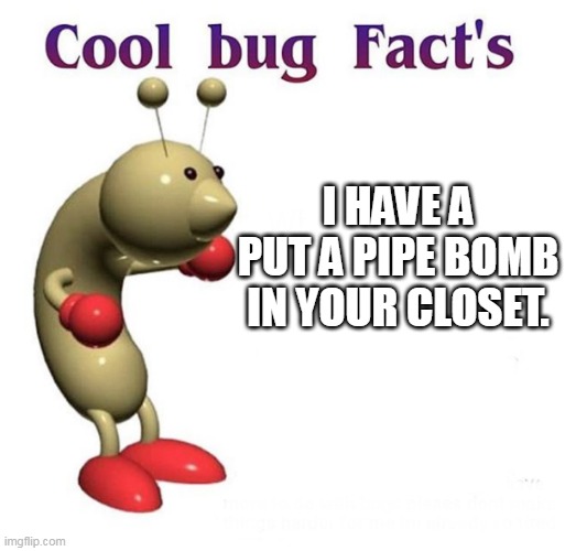 Cool Bug Facts | I HAVE A PUT A PIPE BOMB IN YOUR CLOSET. | image tagged in cool bug facts | made w/ Imgflip meme maker