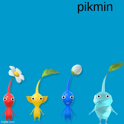 Blank Weezer blue album edit | pikmin | image tagged in blank weezer blue album edit | made w/ Imgflip meme maker