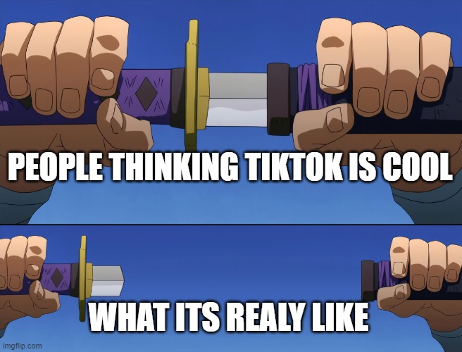 tiktok sucks | PEOPLE THINKING TIKTOK IS COOL; WHAT ITS REALY LIKE | image tagged in not full katana | made w/ Imgflip meme maker