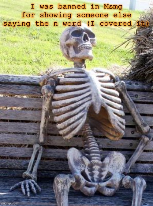 Waiting Skeleton Meme | I was banned in Msmg for showing someone else saying the n word (I covered it) | image tagged in memes,waiting skeleton | made w/ Imgflip meme maker