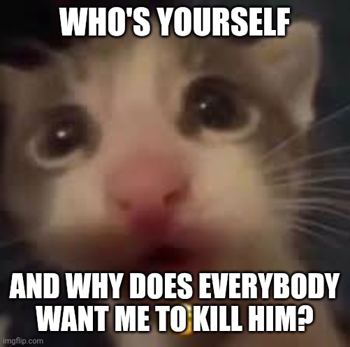 cat gasp | WHO'S YOURSELF; AND WHY DOES EVERYBODY WANT ME TO KILL HIM? | image tagged in cat gasp | made w/ Imgflip meme maker