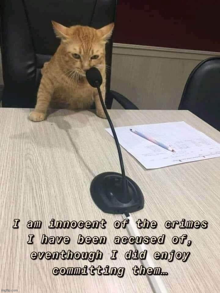 image tagged in repost | made w/ Imgflip meme maker